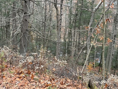 0 Old Farley Rd, Wendell, MA 01379 - photo 6