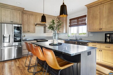 420 Nicholson St, Charlottesville, VA 22901 - photo 6