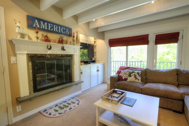 3 Birch Hill Rd, Winhall, VT 05340 - photo 2