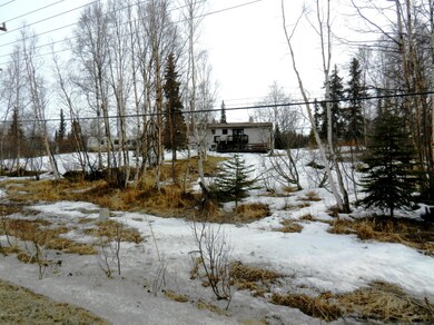 Property continues to Elmore Road