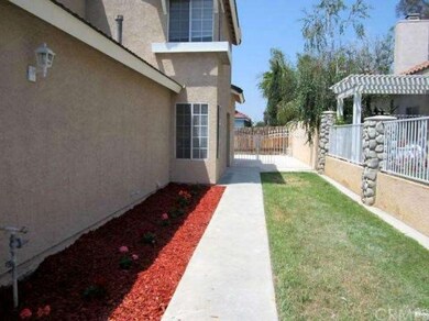 Manicured Yard