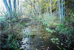 0 D J Rye Rd, Tennessee Ridge, TN 37178 - photo 3