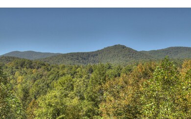 Additional View
