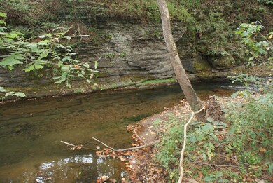 Mill Creek