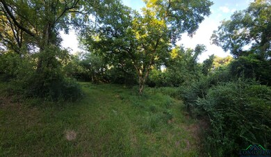 TBD Post Oak Rd, Kilgore, TX 75662 - photo 3