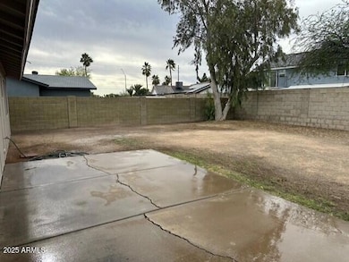 JC Rear Yard