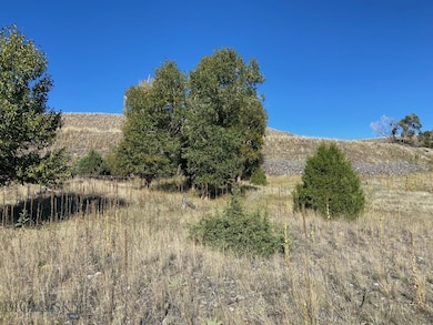 NHN Runway Ln, Pray, MT 59047 - photo 5