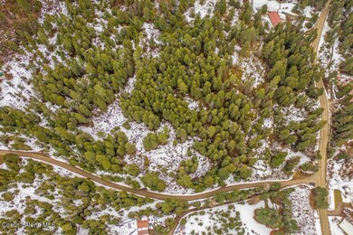 NKA Kelso Woods Rd, Athol, ID 83801 - photo 6