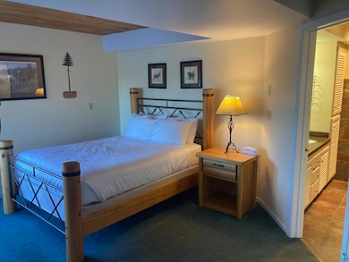 1611 Superior Shores Dr unit 57B, Two Harbors, MN 55616 - photo 5