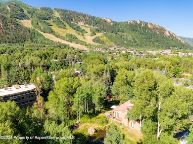 981 King St, Aspen, CO 81611 - photo 5