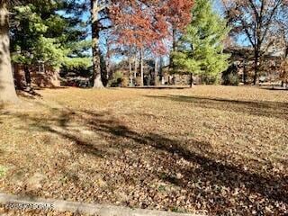 710 Hollyhock Dr, Fulton, MO 65251 - photo 5