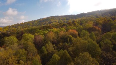 0 Clouse Hill Rd, Pelham, TN 37366 - photo 4