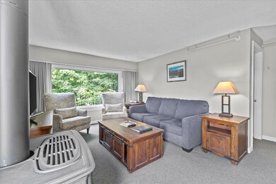 260 Mountainside Dr unit C402, Stowe, VT 05672 - photo 2