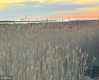 Parcel 0017 Marsh Rd, Smith Island, MD 21824 - photo 5