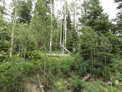 103 S Spring Cir unit Lot 18, blk F, Unit, Brian Head, UT 84719 - photo 7