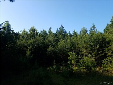 1600 Chopping Rd, Mineral, VA 23117 - photo 3