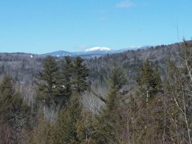 Mt Abraham View