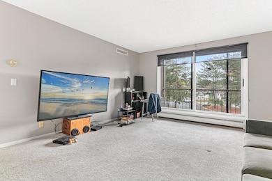 4710 58th Ave N unit 221, Minneapolis, MN 55429 - photo 4