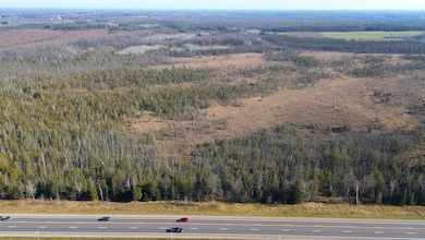 Highway 45, Birnamwood, WI 54414 - photo 3