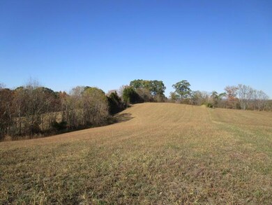 0 Kenneth Roach Ln unit 1052709, Rutledge, TN 37861 - photo 2