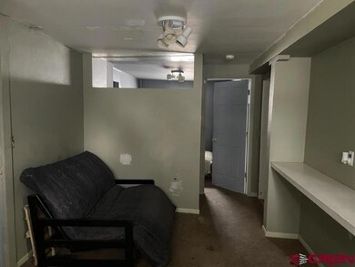 16424 Bull Mesa Rd, Cedaredge, CO 81413 - photo 6