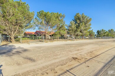 45050 43rd St E, Lancaster, CA 93535 - photo 3