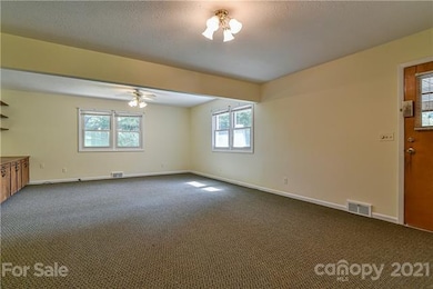 591 Old Leicester Hwy, Asheville, NC 28806 - photo 5