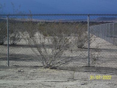 64806 Chollita Rd, Joshua Tree, CA 92252 - photo 2