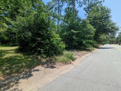 1207 Eager Dr, Albany, GA 31707 - photo 4