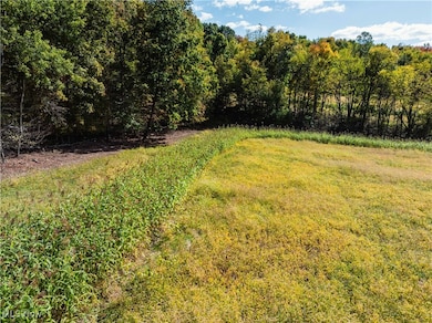 0 Moffett Rd, Lucas, OH 44843 - photo 6