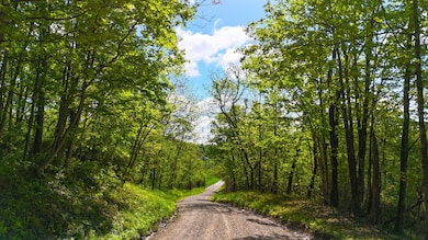 Morganville rd-05