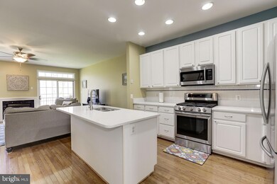 10141 Pale Rose Loop, Bristow, VA 20136 - photo 5