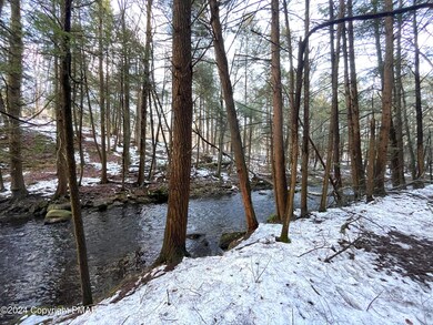 River at the Rear of the Property