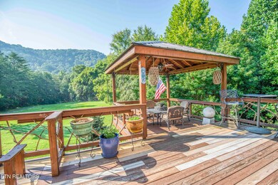 572 Lewis Ln, Blaine, TN 37709 - photo 5