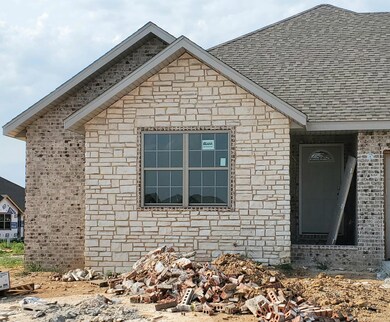 867 E Scott Wayne Dr, Nixa, MO 65714 - photo 3