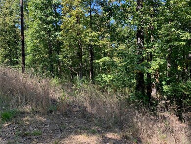 Lots 6 and 7 Brooks Cir, Bella Vista, AR 72714 - photo 2