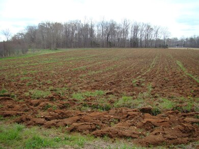 42.37 ac Cherry Creek Rd, Cookeville, TN 38506 - photo 5