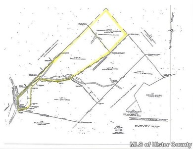 TBD Kripplebush Rd, Marbletown, NY 12404 - photo 2