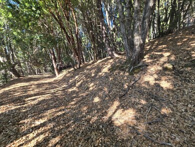 000 Panther Gap Rd, Honeydew, CA 95545 - photo 4