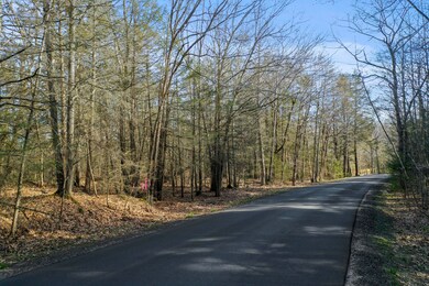 39 W. Chops Point Rd_101