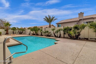 Backyard/Pool