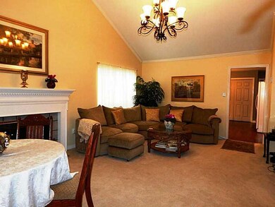 Living Room. Nice living room has carpet, cathedra