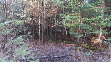 57-17 Jesse Ln, Littleton, NH 03561 - photo 3