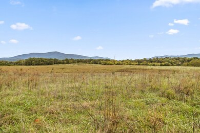 0 Georgia 286, Chatsworth, GA 30705 - photo 7