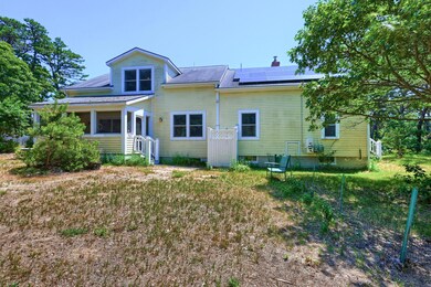 15_Backyard_IMG_1420