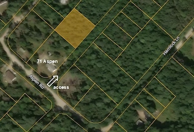 0 Spruce Ln, Danbury, NH 03230 - photo 2