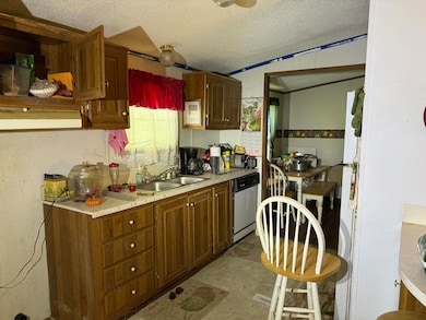 60 Ponderosa Rd, Burnside, KY 42519 - photo 3