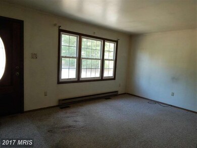 10184 Thomasson Ln, Rixeyville, VA 22737 - photo 2