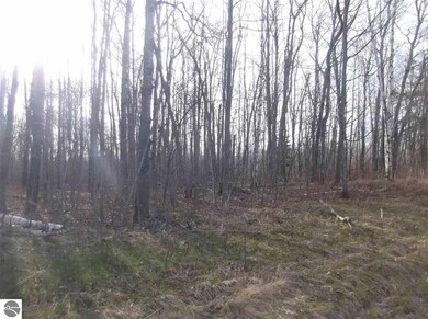 #10 Putnam Rd, Hale, MI 48739 - photo 4