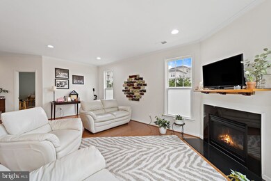 41928 Stoneyford Terrace, Aldie, VA 20105 - photo 7